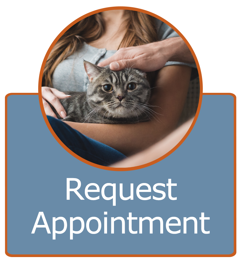 Request Appointment